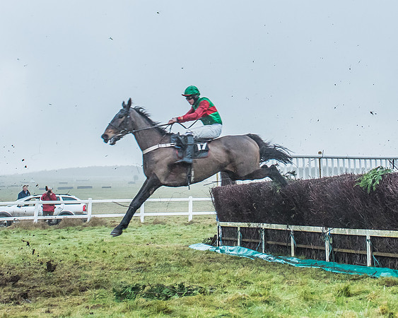 Race 6 - Novice Riders-50