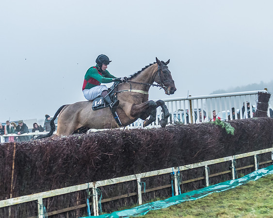 Race 6 - Novice Riders-84