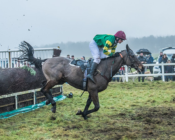 Race 6 - Novice Riders-91