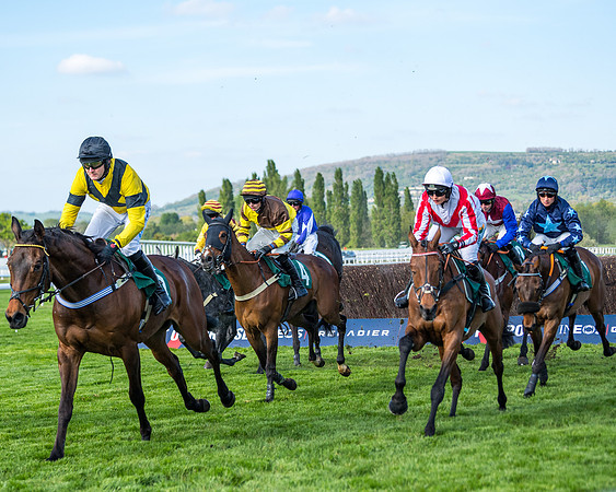 Race 2  -  Intermediate Point to Point Hunters' Steeple Chase (103 of 277)