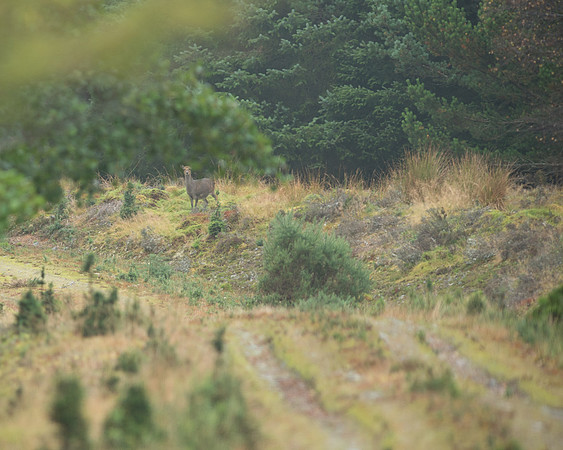 Fri - Week 1-1-18