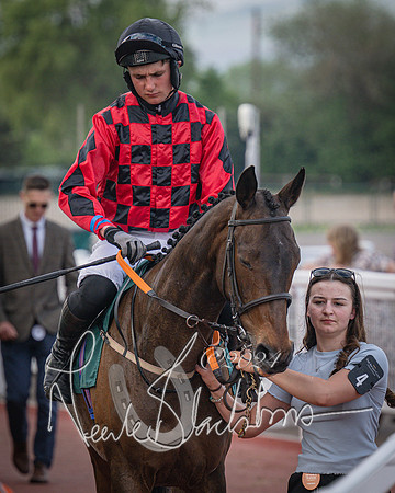 Race 5 - Mares Open Hunter Steeplechase 3m2f 70y (27 of 269)