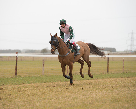 Race 6 - Open Maiden (63 of 120).jpg