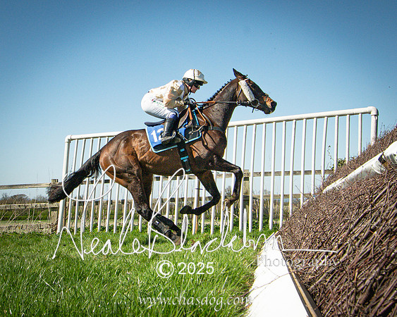 Race 4 - Mixed Open (120 of 168)