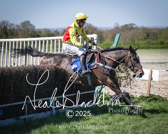 Race 2 - The Maiden (99 of 118)