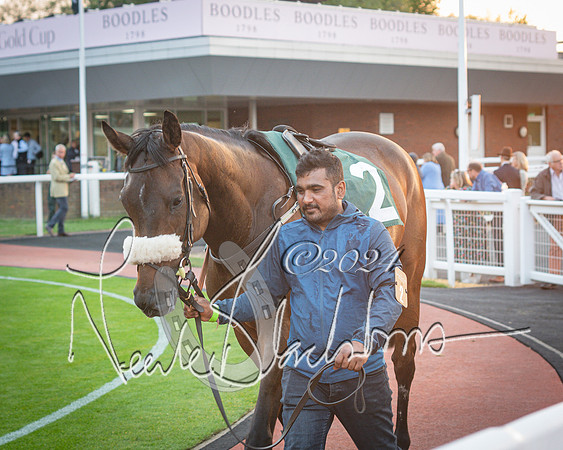 Race - 7 The Royal Gloucester Hussars Open Hunter's steeplechase 2m4f 127y (6 of 210)