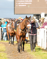 Race 2 (4 of 57)