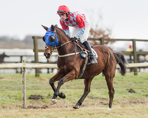 Race 3 (4 of 145)
