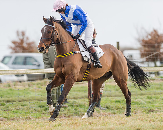 Race 3 (6 of 145)