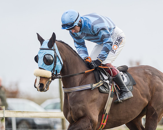 Race 3 (10 of 145)