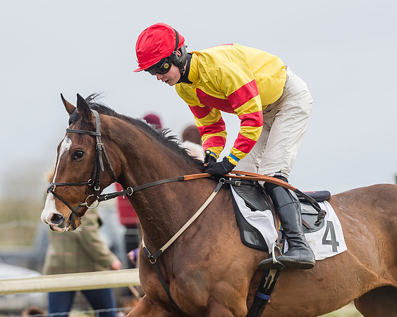Race 3 (19 of 145)