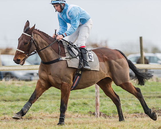 Race 3 (22 of 145)