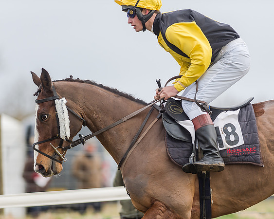Race 3 (25 of 145)