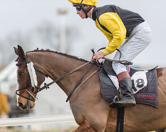 Race 3 (26 of 145)