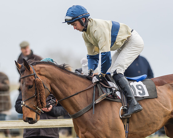 Race 3 (28 of 145)