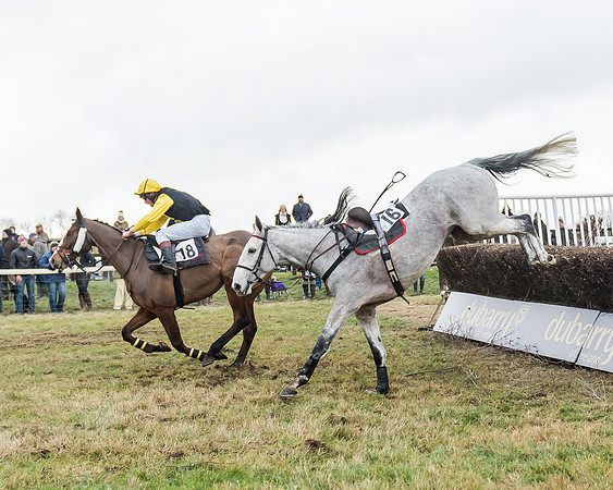Race 3 (111 of 145)