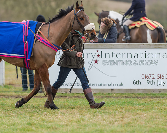 Race 4 (22 of 269)