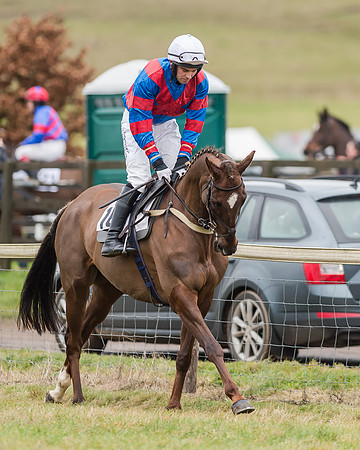 Race 4 (76 of 269)