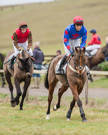 Race 4 (79 of 269)