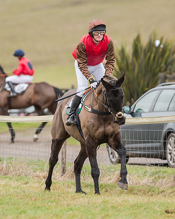 Race 4 (80 of 269)