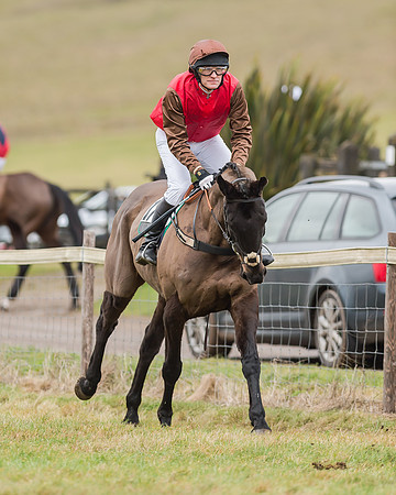 Race 4 (81 of 269)