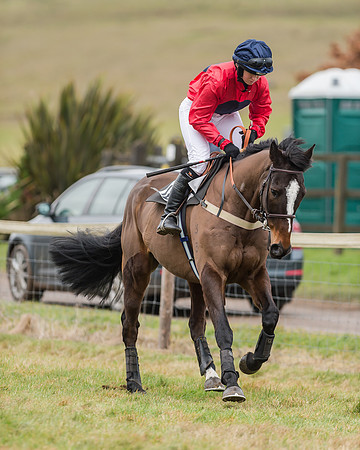 Race 4 (87 of 269)