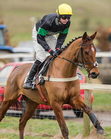 Race 4 (95 of 269)