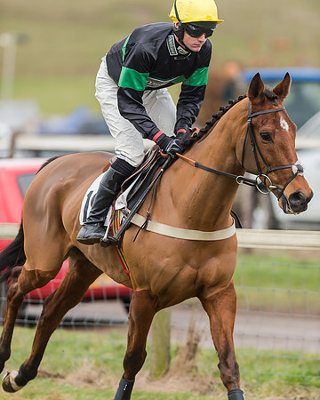 Race 4 (96 of 269)