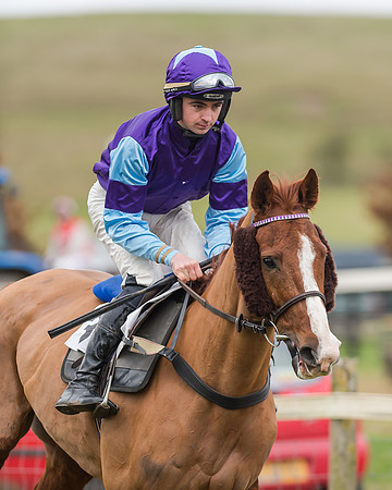 Race 4 (100 of 269)