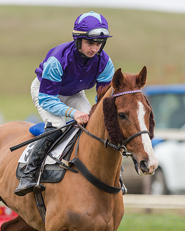 Race 4 (101 of 269)