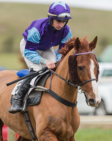 Race 4 (102 of 269)
