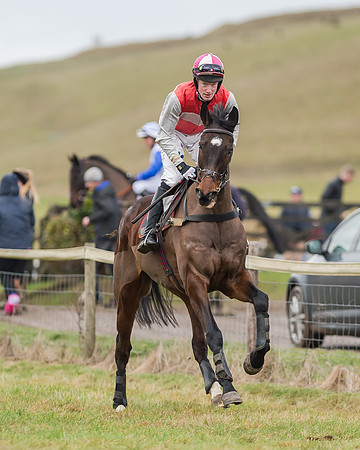 Race 4 (103 of 269)