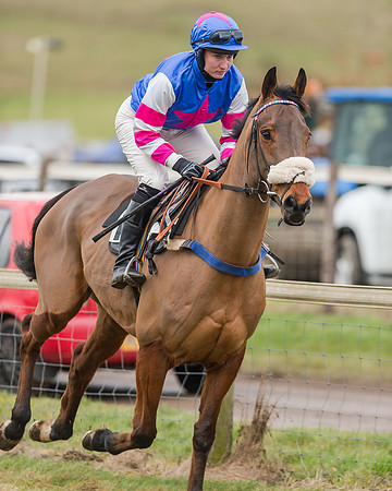 Race 4 (93 of 269)