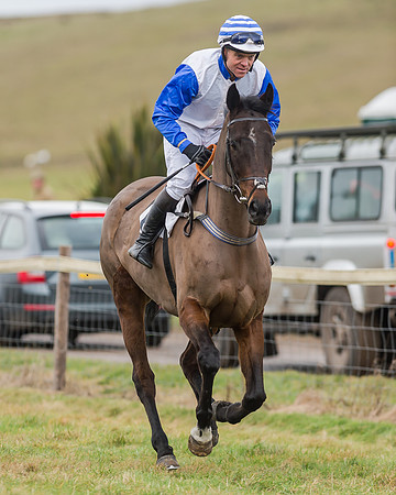 Race 4 (108 of 269)