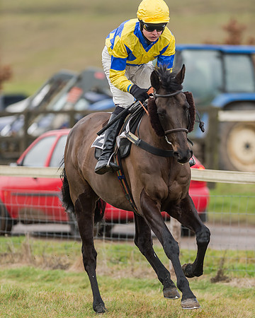 Race 4 (112 of 269)