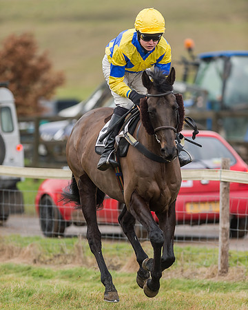 Race 4 (111 of 269)