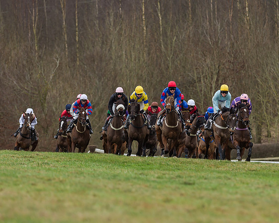 Race 4 (126 of 269)