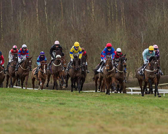 Race 4 (130 of 269)