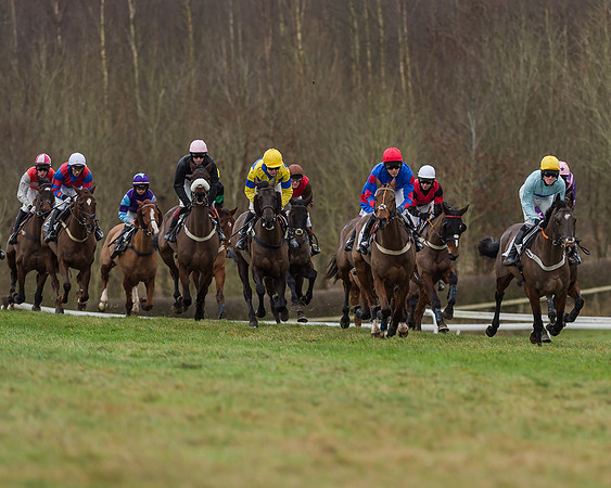 Race 4 (132 of 269)