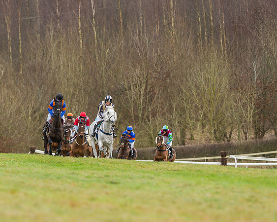 Race 5 (22 of 120)