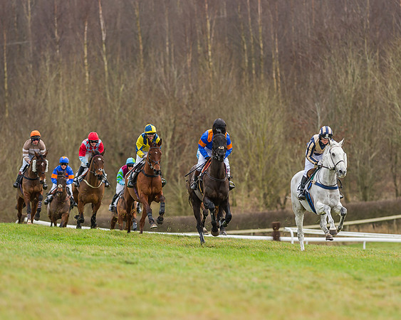 Race 5 (24 of 120)