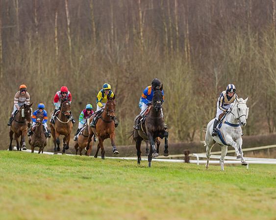 Race 5 (25 of 120)