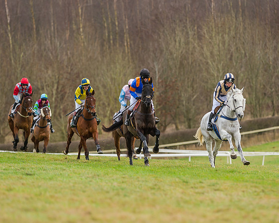 Race 5 (26 of 120)
