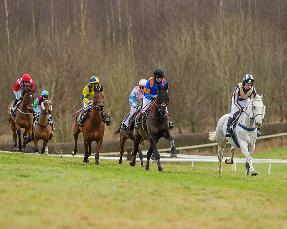 Race 5 (27 of 120)