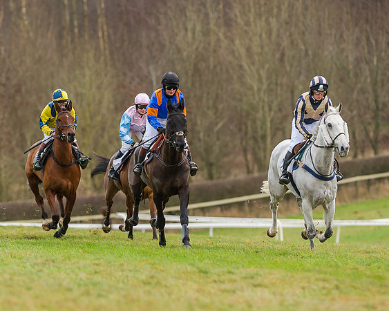 Race 5 (28 of 120)