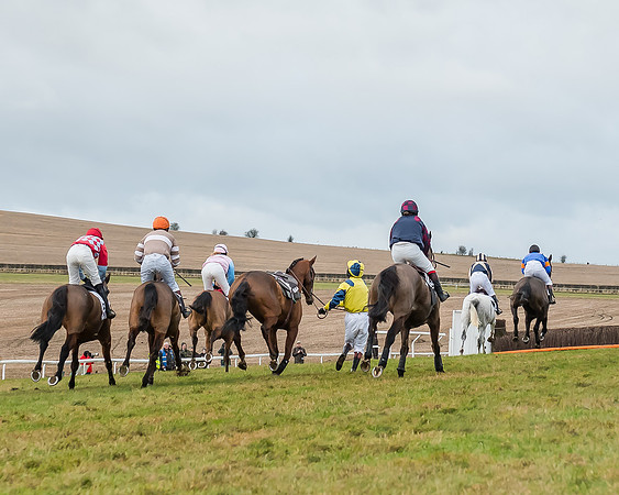 Race 5 (43 of 120)