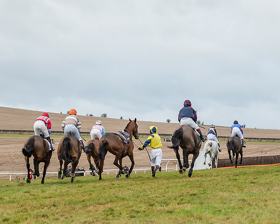 Race 5 (44 of 120)