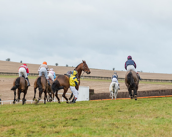 Race 5 (45 of 120)