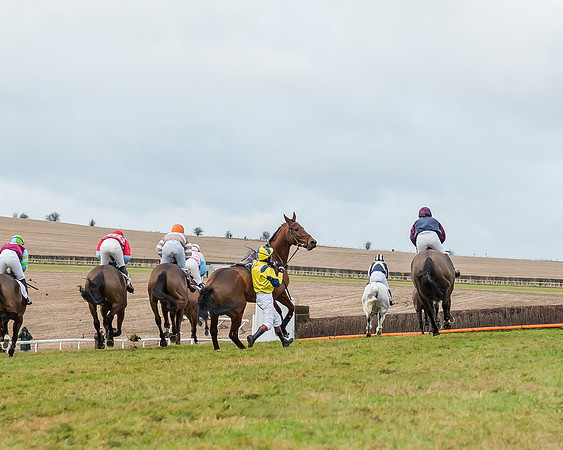 Race 5 (46 of 120)