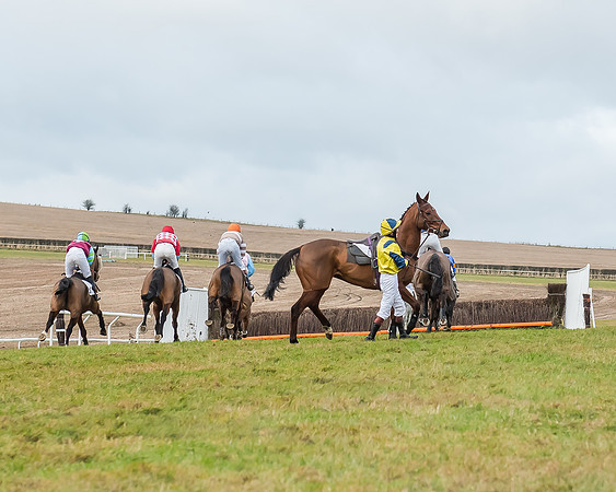Race 5 (47 of 120)